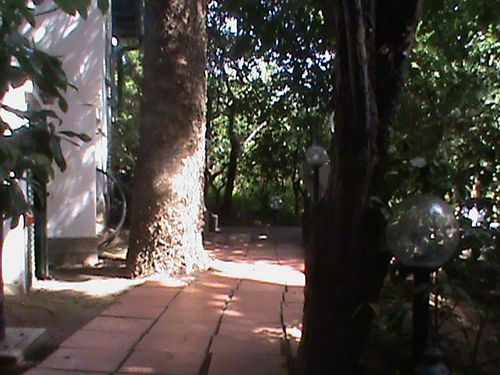 Il Giardino Segreto 3*